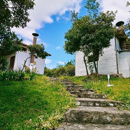 Jardin Colibri Rnt 33633 Villa Guatavita Kültér fotó