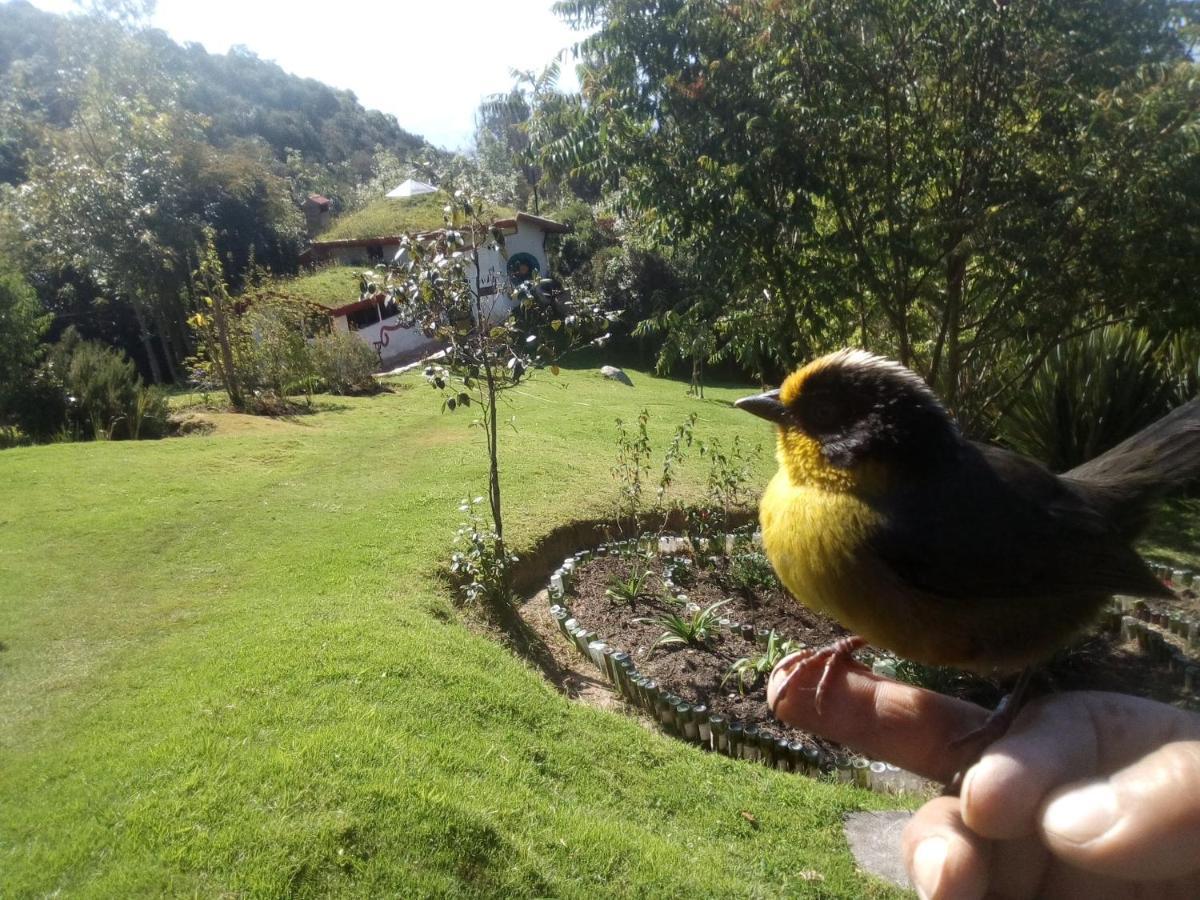 Jardin Colibri Rnt 33633 Villa Guatavita Kültér fotó