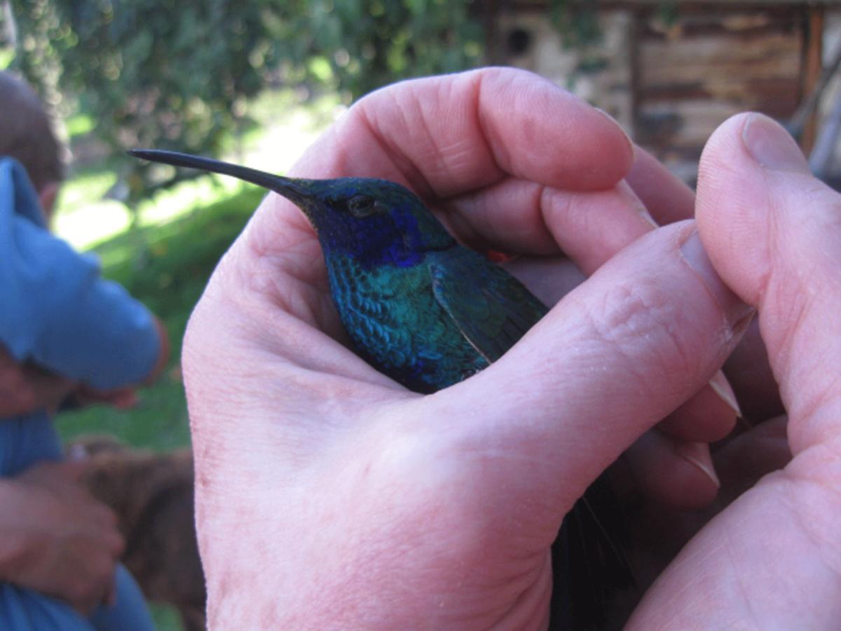 Jardin Colibri Rnt 33633 Villa Guatavita Szoba fotó