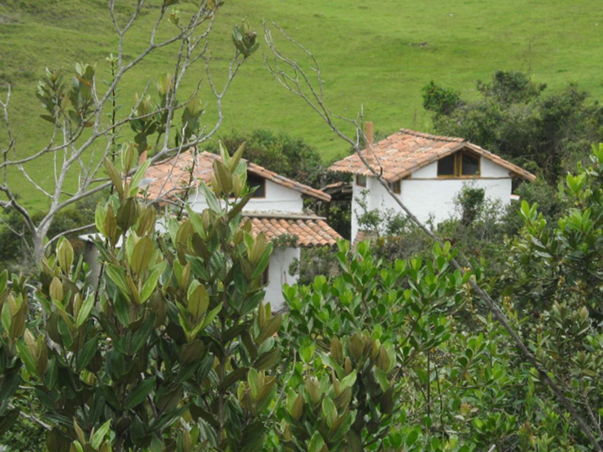 Jardin Colibri Rnt 33633 Villa Guatavita Kültér fotó