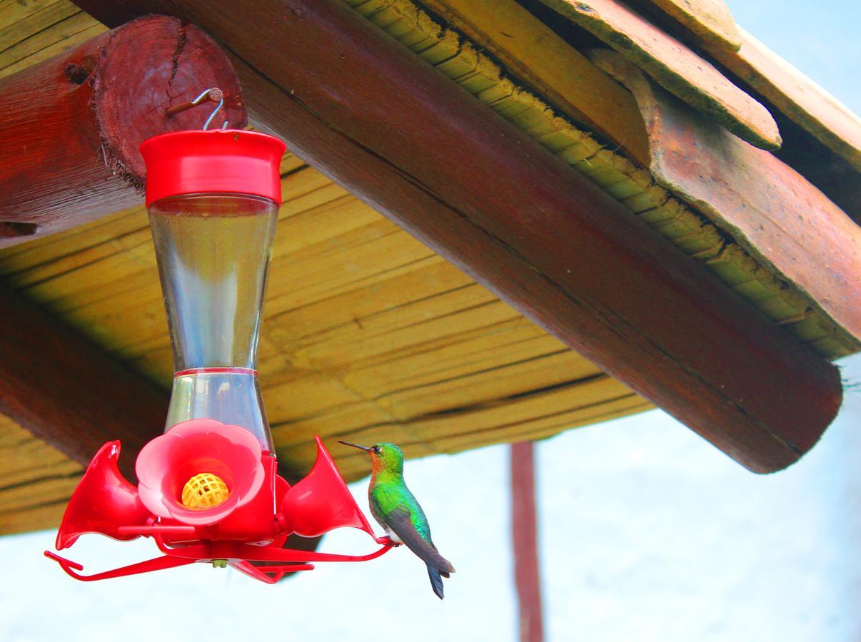 Jardin Colibri Rnt 33633 Villa Guatavita Kültér fotó