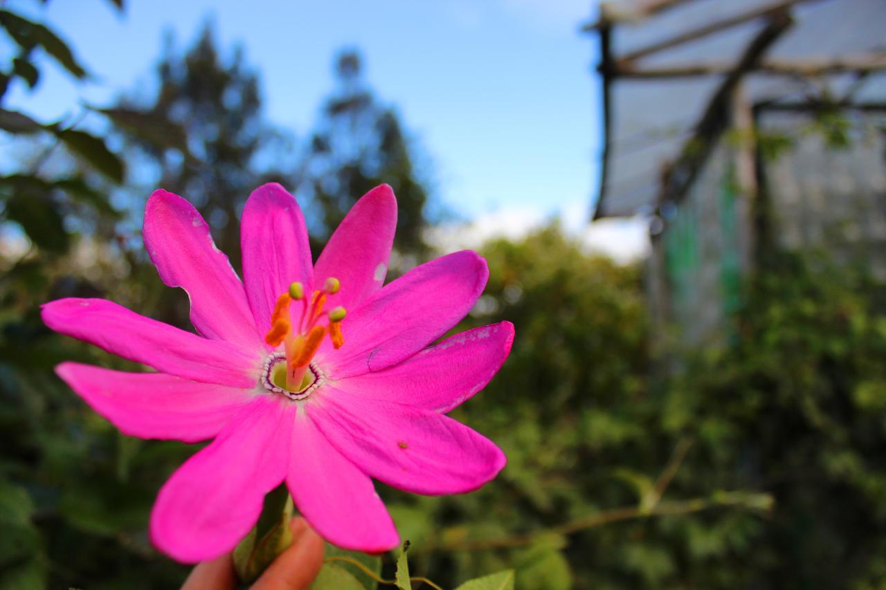 Jardin Colibri Rnt 33633 Villa Guatavita Kültér fotó