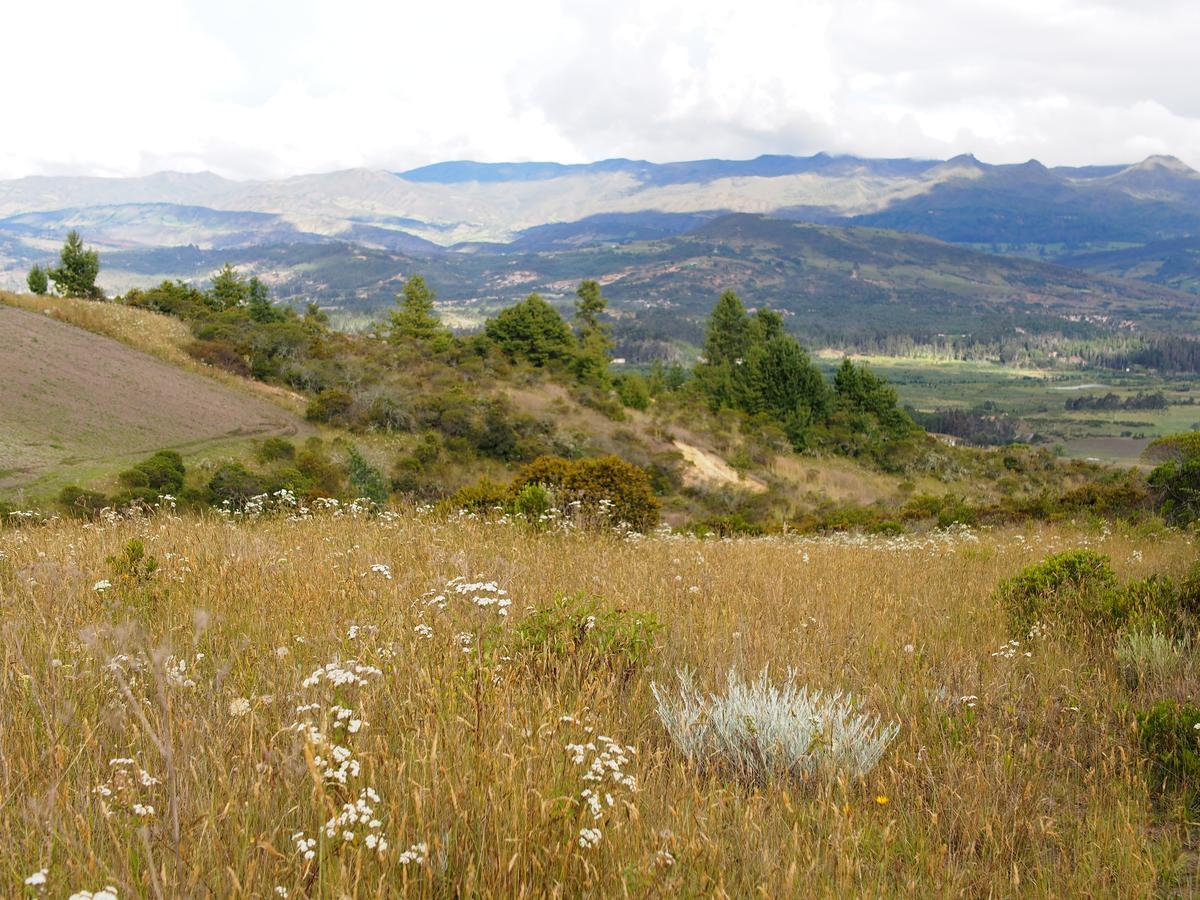Jardin Colibri Rnt 33633 Villa Guatavita Kültér fotó